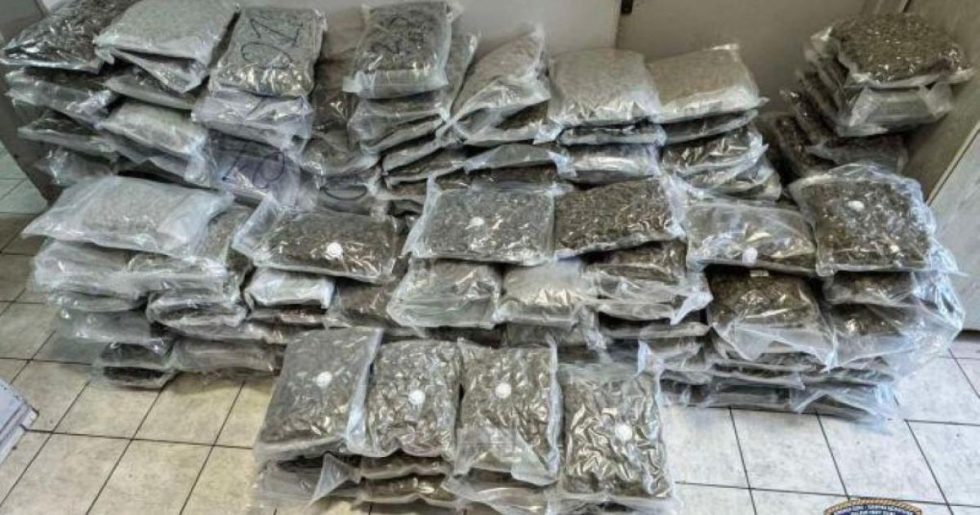 Τρεις συλλήψεις για ναρκωτικά σε αποθήκη στη Δυτική Αττική - Άνω των 750.000 ευρώ η αξία [βίντεο]